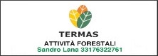 Termas