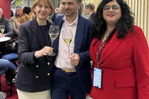 Vinitaly 2025: una penisola dei sensi