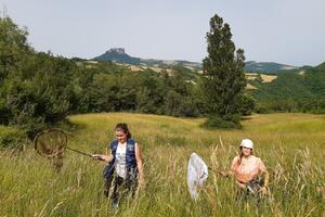 Parco Appennino, un progetto europeo per salvare le produzioni agroalimentari attraverso gli impollinatori