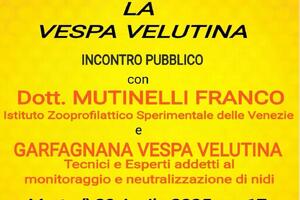 L’Unione Comuni Garfagnana ospita l’incontro “Conosciamo la Vespa Velutina”