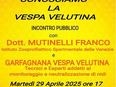 L’Unione Comuni Garfagnana ospita l’incontro “Conosciamo la Vespa Velutina”