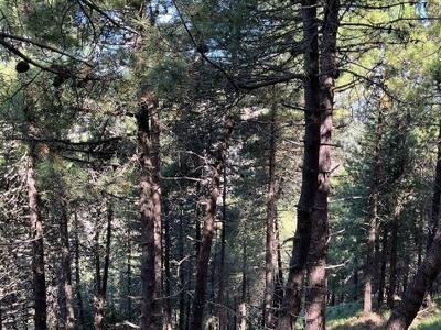 Il Parco Apuane interviene contro il rischio incendi