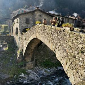 IMG-20241208-WA0021