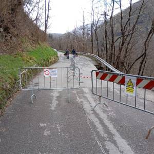 IMG-20250316-WA0008