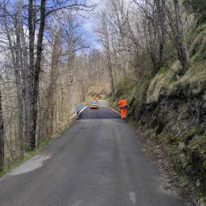 IMG-20250410-WA0011