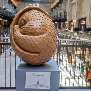 Pangolin di Josh Gluckstein