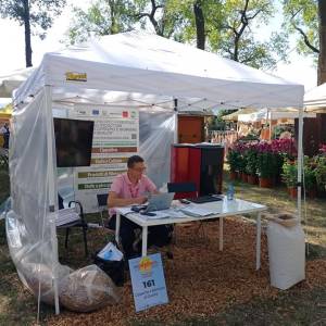 immagine Gazebo 2