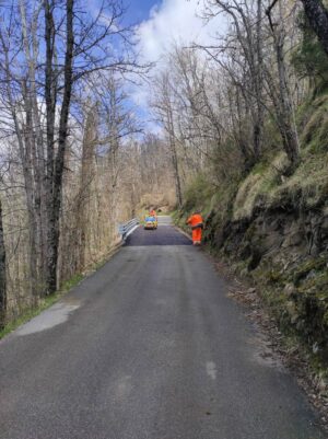 IMG-20250410-WA0011
