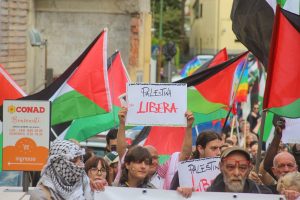Palestina libera (21)