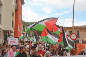Palestina libera (23)