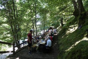 _DSC9306_resized