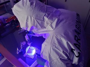 Militare delle Investigazioni Scientifiche CC Lucca