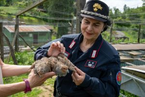 Ufficiale Biodiversità