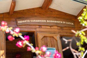Conferenza stampa gestione Orrido di Botri (2)