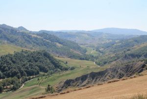 IMG-20250724-WA0061