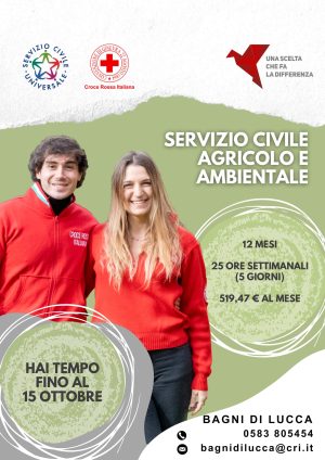 volantino