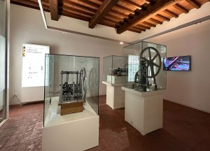 museo 24