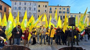 Immagine WhatsApp 2025-11-06 ore 12.00.54_a4459d44