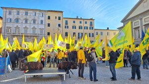 Immagine WhatsApp 2025-11-06 ore 12.00.55_0145df3b