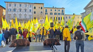Immagine WhatsApp 2025-11-06 ore 12.00.56_1f3fbc23