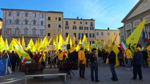 Immagine WhatsApp 2025-11-06 ore 12.00.56_82abbc2a