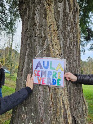 Immagine WhatsApp 2025-11-21 ore 16.45.54_63ecbe86
