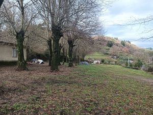 IMG20251224142649 (1)
