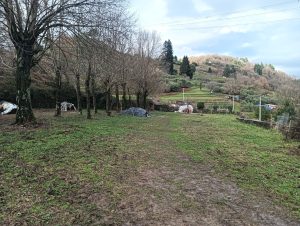 IMG20251224142713