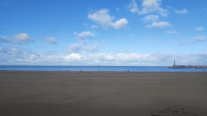 IMG_20251123_113623