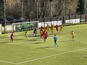 IMG_3886