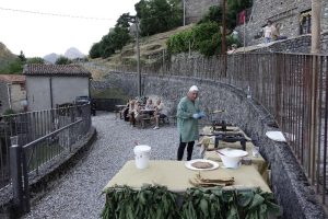 _DSC8678_resized