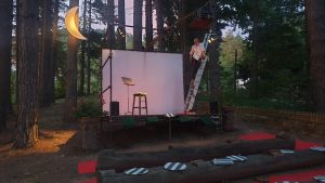 il cinema nel bosco