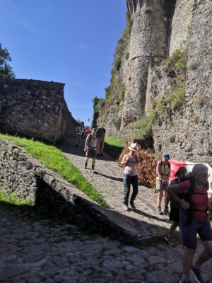 1000079686 (1)