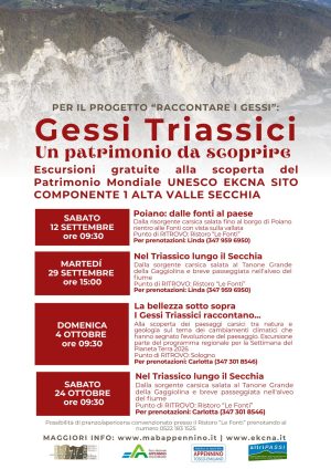 GESSI TRIASSICI (1)