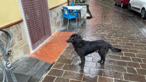IMG-20260917-WA0024