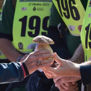 Mondiale del fungo (3)