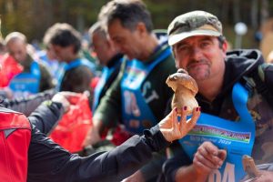 Mondiale del fungo (4)